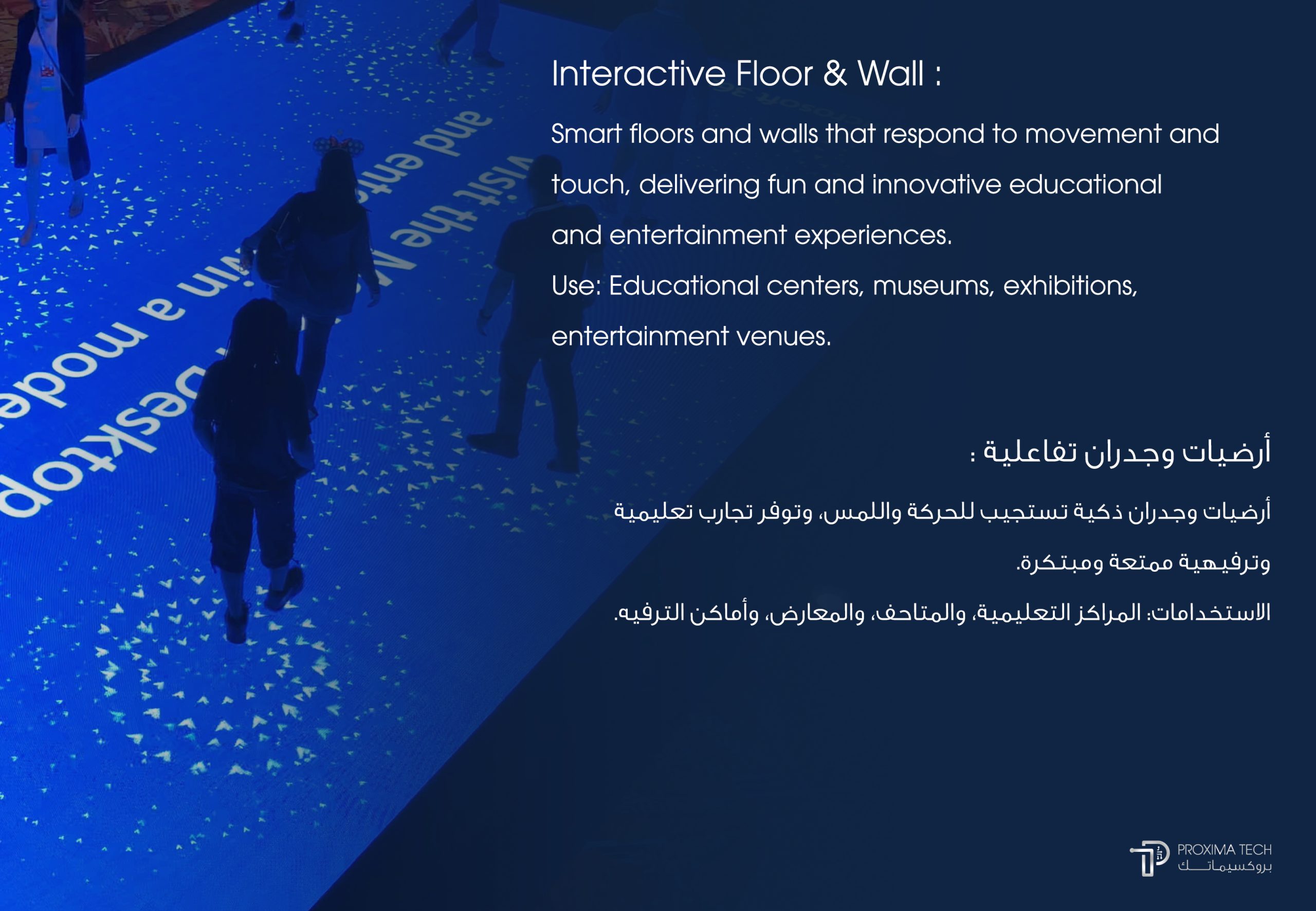 Interactive Floor & Wall